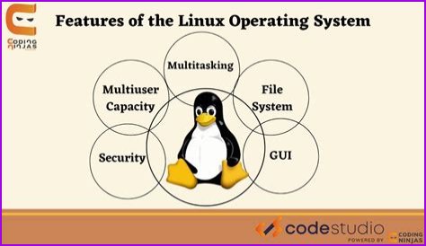 What are the components of Linux explain?